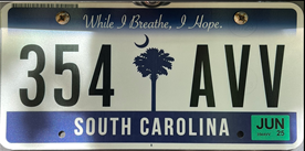 License Plate Format and Design License Plate Format and Design
