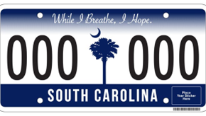 License Plates