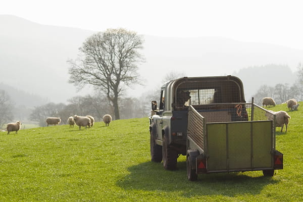 Agricultural Vehicle Title Brand, Types, Uses, Rules, and Buyer Tips