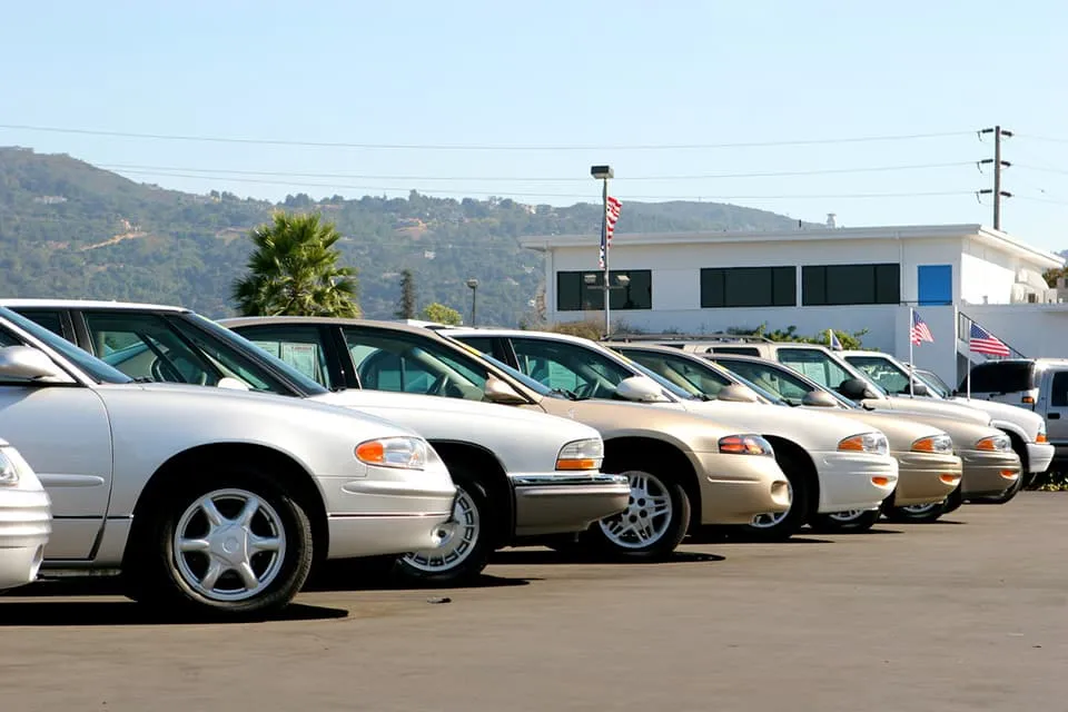 Used Car Buying Guide: What to Look For
                            